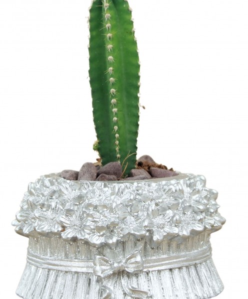 Mini Çiçek Saksı Küçük Sukulent Gümüş Kaktüs Saksısı Çiçekli Fiyonklu Model
